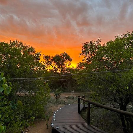 Out In Africa Wildlife Lodge Hammanskraal Extérieur photo