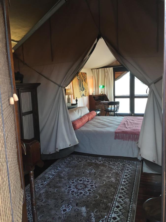 Out In Africa Wildlife Lodge Hammanskraal Extérieur photo