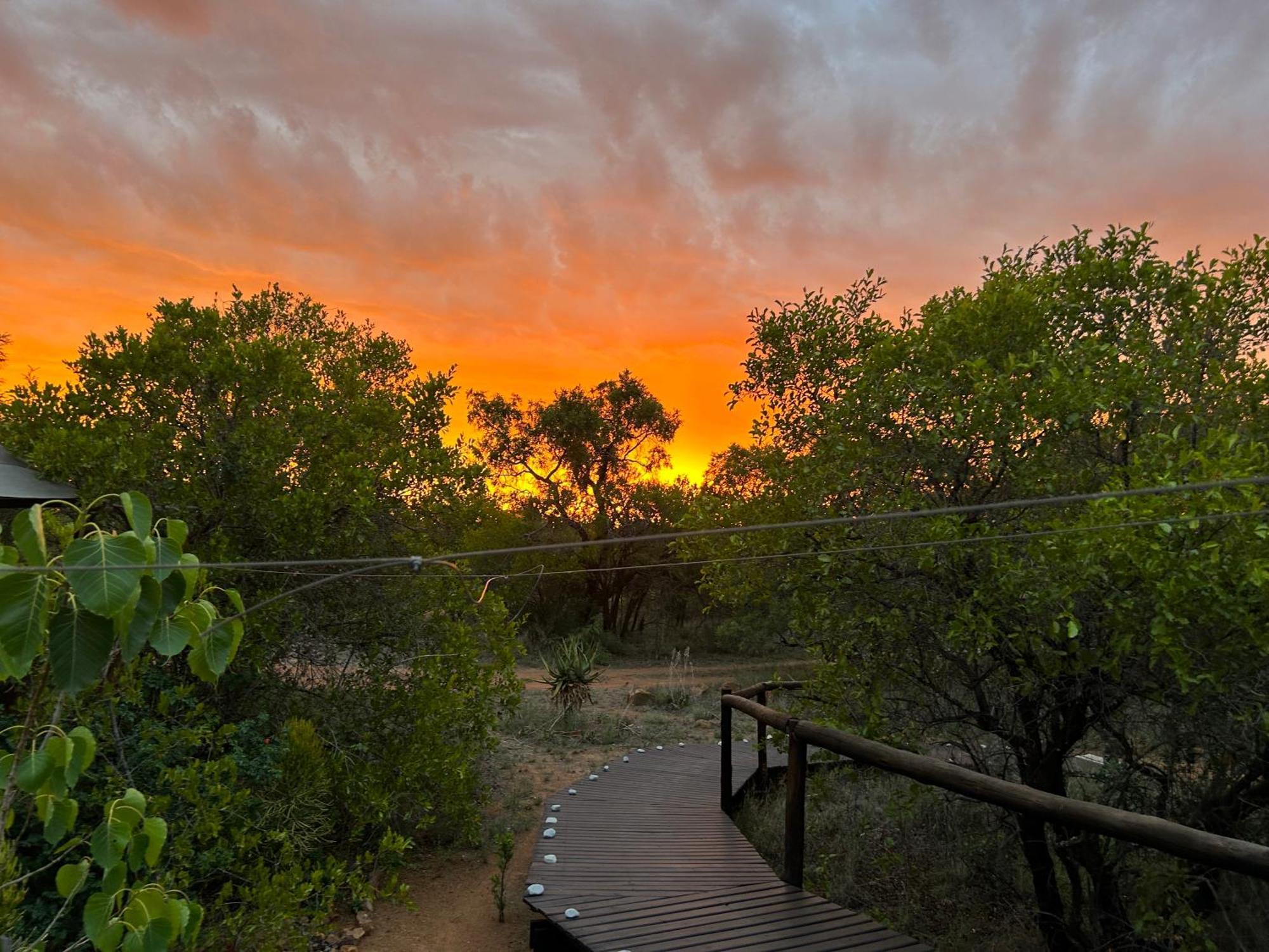 Out In Africa Wildlife Lodge Hammanskraal Extérieur photo